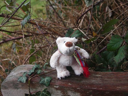 Barney