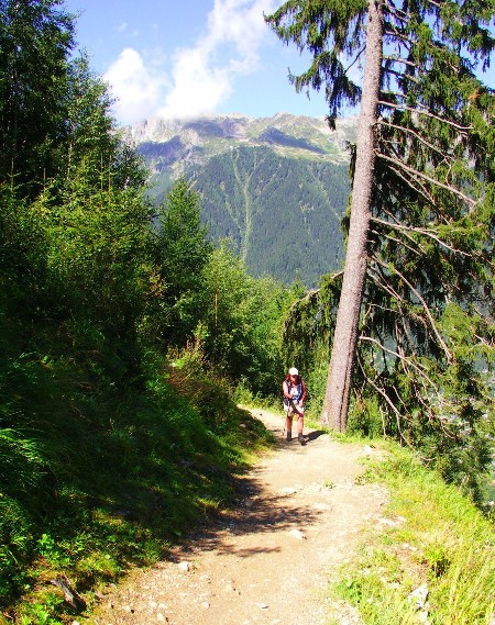 The forest path from Chamonix to Montevers