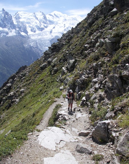 Mont Blanc in background