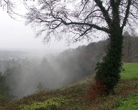 Gatton Park