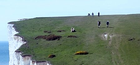 The Lazy Cow